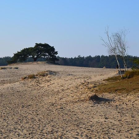 Huisje Weideblik Villa Doornspijk Eksteriør billede